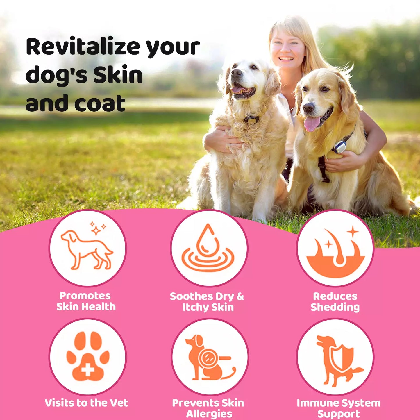 Skin & Coat Health Chews for Pets