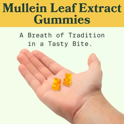 Mullein Leaf Extract  Gummies