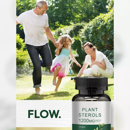 Plant Sterols 1200mg Complex Capsules